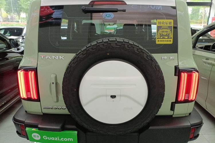 Used Tank 300 2021 City Edition 2.0T—Truly Stylish Rear