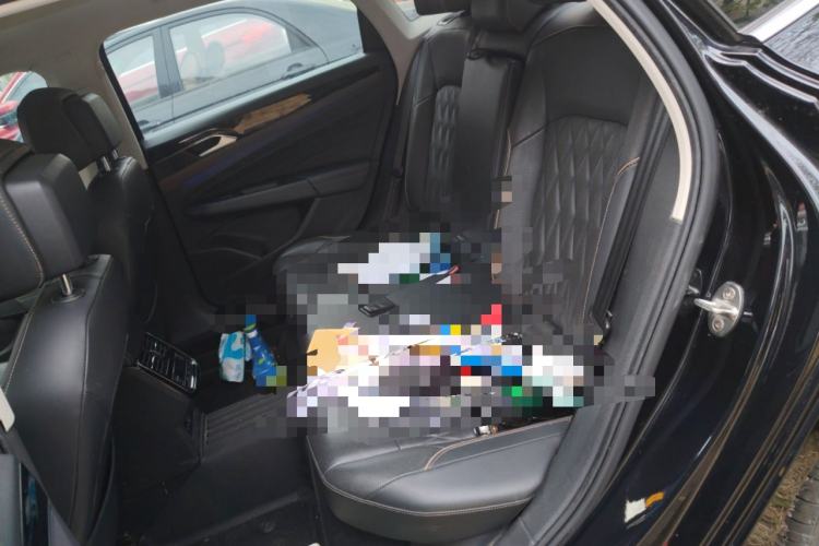 Used Volkswagen Passat 2020 Revised Version 330TSI Luxury Edition China VI Standard Left Rear Seat