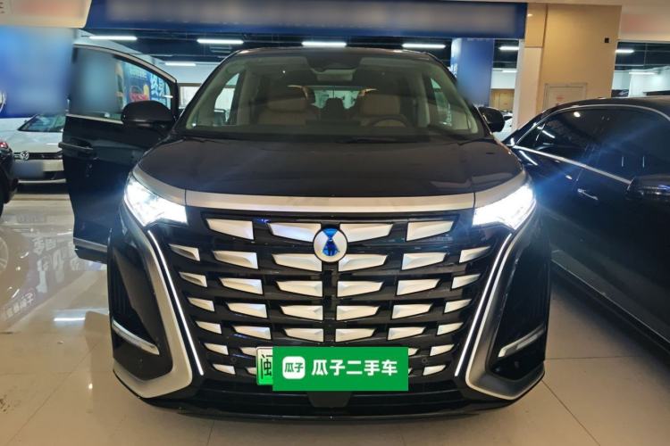 Used Denza D9 2024 DM-i 980 Four-Wheel Drive Prestige Model Front