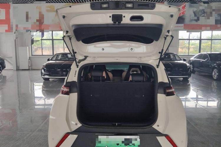 Used BYD Seagull 2023 Flying Edition