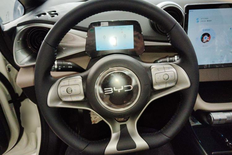 Used BYD Dolphin 2025 420km Free Edition