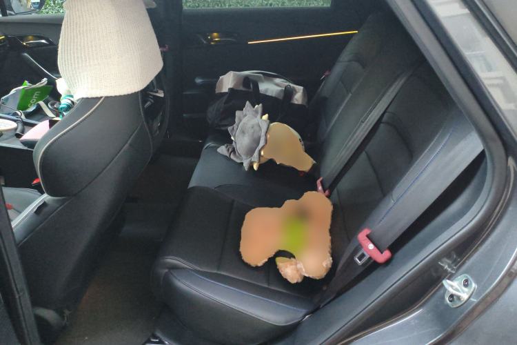 Used MG 4 EV 2023 415 km Range Sea-Faring Champion Edition
