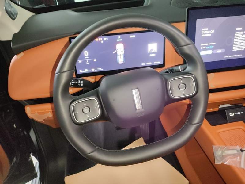 Used Wey Lanshan 2025 Four-Wheel Drive Max — 10