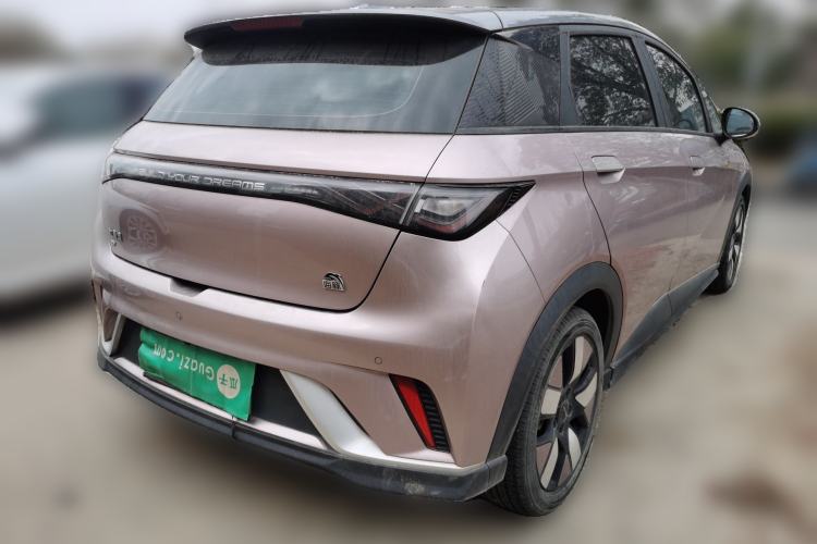 Used BYD Dolphin 2021 401km Knight Edition
