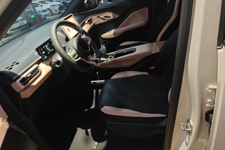 Used BYD Seagull 2023 Active Version Left Front Seat