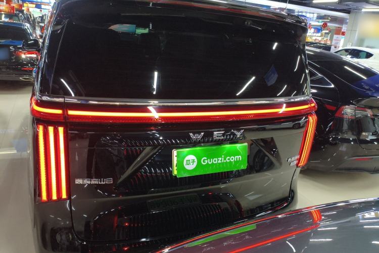 Used Wey Gaoshan 2025 Four-Wheel Drive Alpine 8
