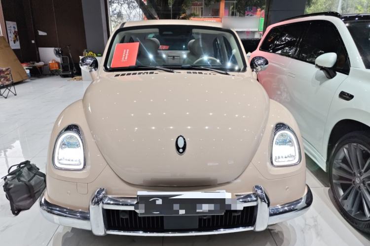 Used ORA Ballet Cat 2022 401 km Nutcracker Edition Front