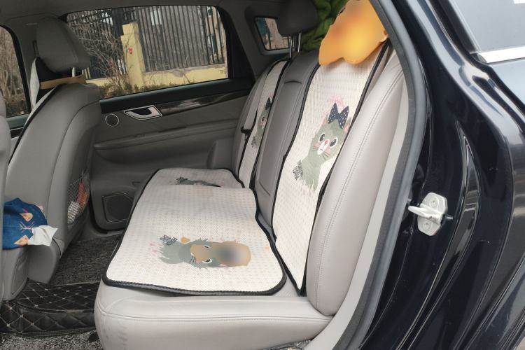 Used Denza 2017 Stylish Edition