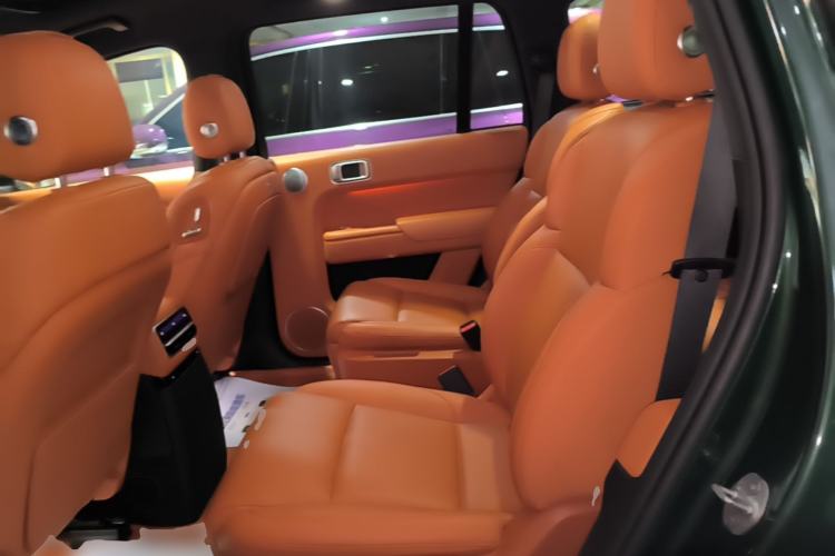 Used Li Auto L9 2022 Max model Left Rear Seat