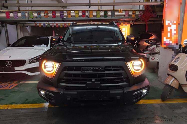 Used Haval DARGO 2024 2.0T DCT Chinese Rural Dog Edition
