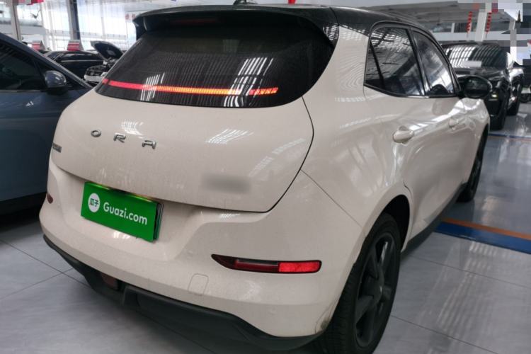 Used ORA Good Cat 2024 401 km Luxury Version