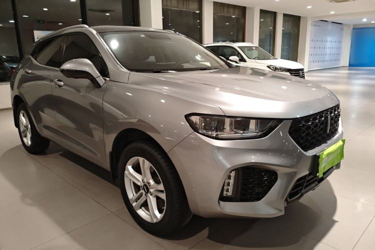 Used Wey VV5 2019 1.5T Two-Wheel Drive Color Pioneer