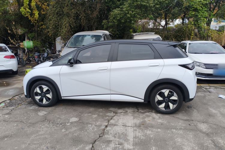 Used BYD Dolphin 2024 Honor Edition 420km Fashion Version