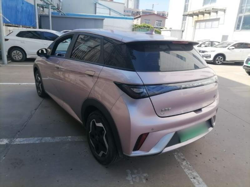 Used BYD Dolphin 2021 405 km Fashion Edition — 4