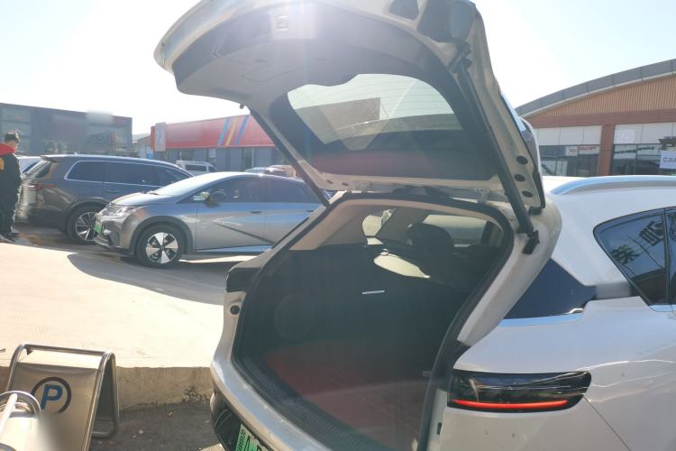 Used VOYAH FREE 2021 Two-Wheel Drive Standard Pure Electric City Edition
