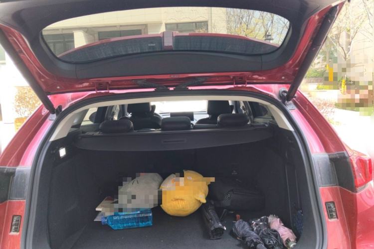 Used Wey VV7 2020 2.0T Flagship Edition