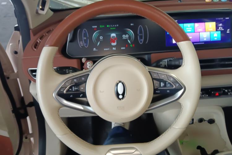 Used ORA Good Cat 2021 500km Long-Range Poseidon Edition Lithium-Ion Battery