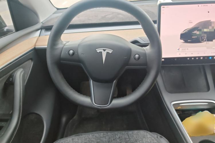 Used Tesla Model Y 2022 Rear-Wheel-Drive Version