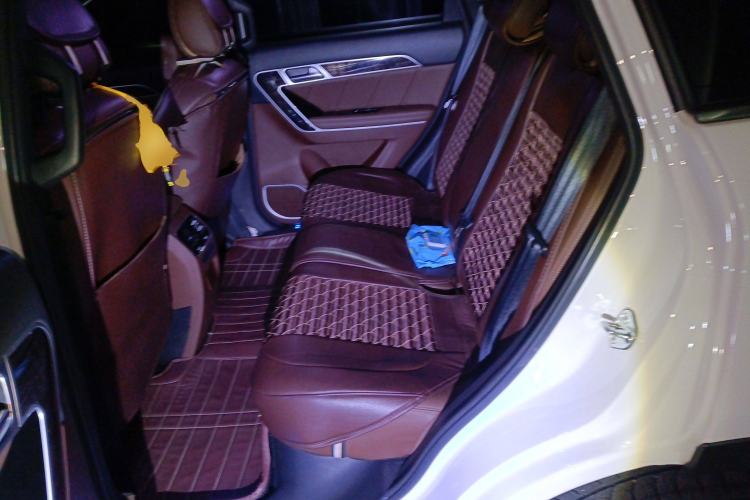 Used Haval H6 Coupe 2017 Red-Label 2.0T Automatic Two-Wheel Drive Elite Model Left Rear Seat