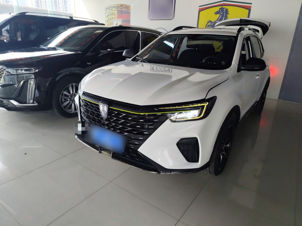 Parte inferior delantera