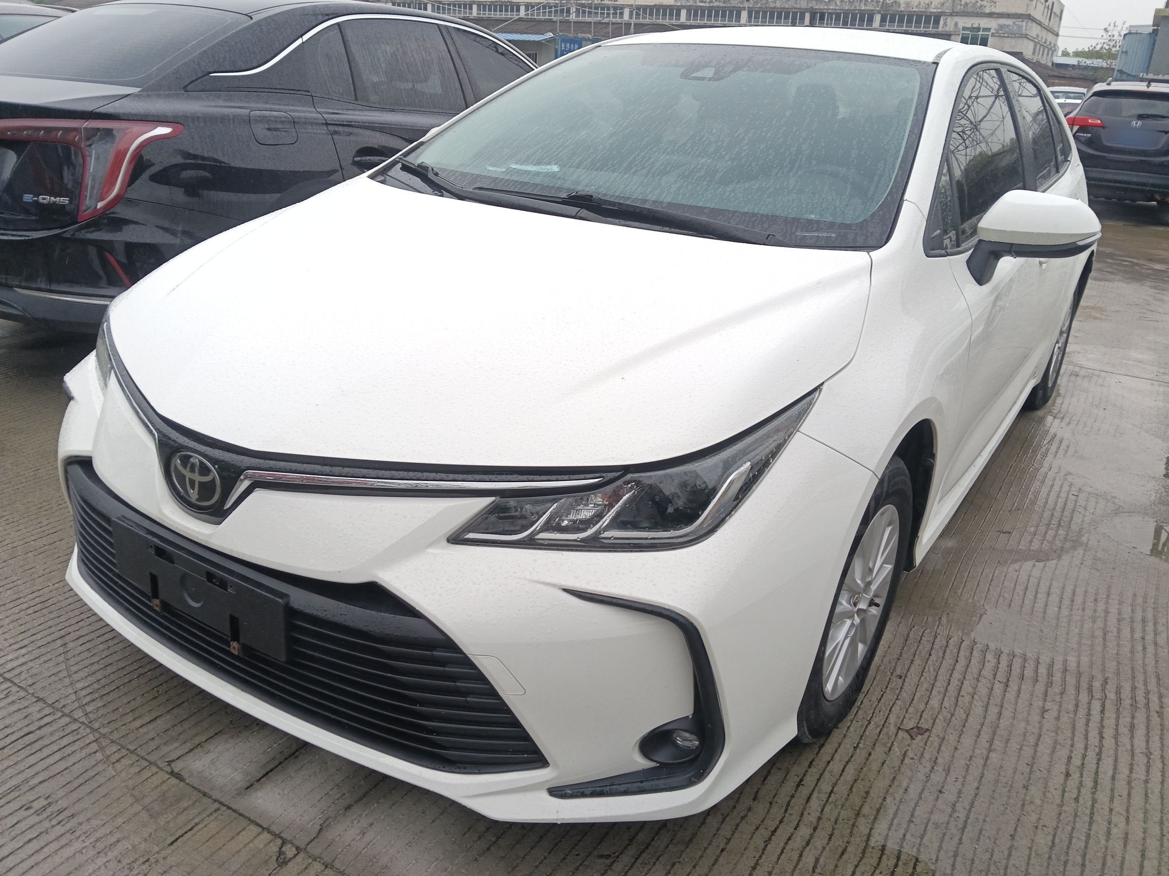 Parte inferior delantera