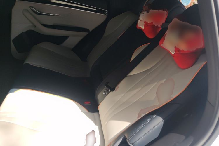 Used BYD Song PLUS New Energy 2021 EV Deluxe Model Left Rear Seat