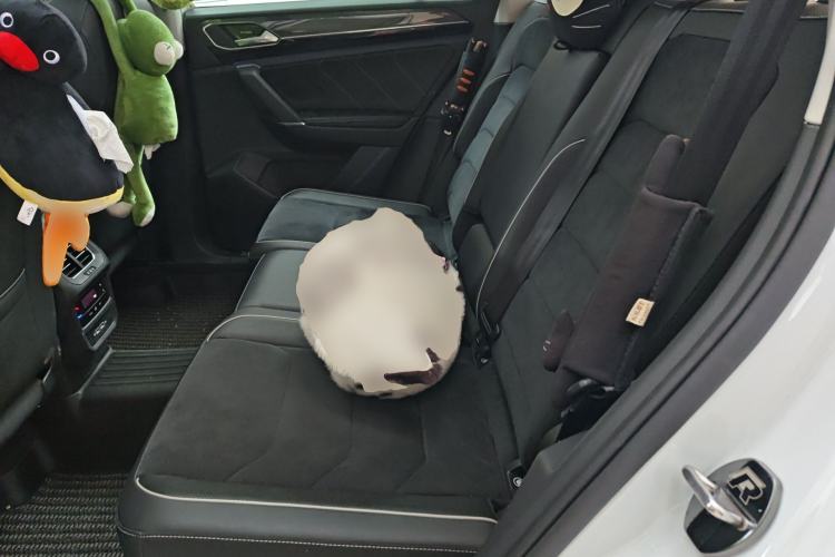 Used Volkswagen Tayron 2020 330TSI Two-Wheel Drive Luxury Connected Pro Edition Left Rear Seat