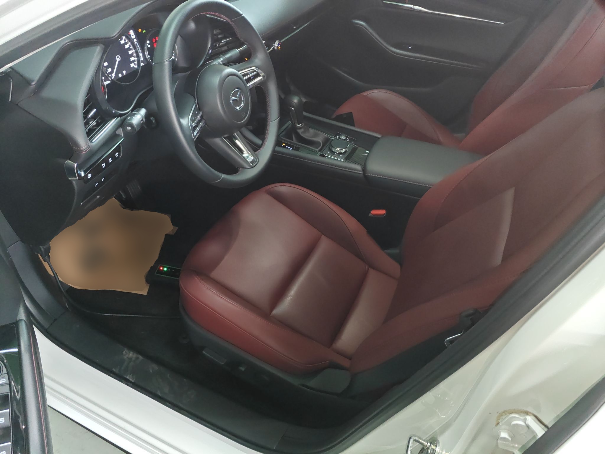 Interior delantero