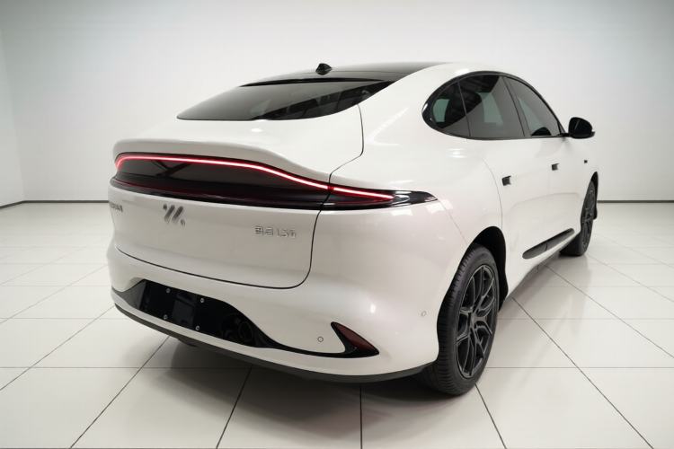 Used IM LS6 2023 Max Long-Range Version