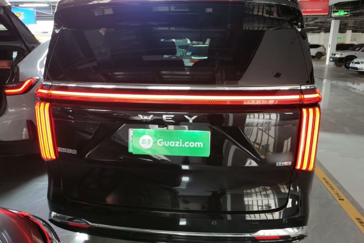 Used Wey Gaoshan 2023 Four-Wheel-Drive Executive Extended Version