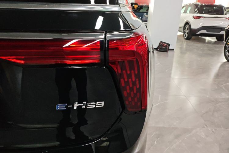 Used Hongqi E-HS9 2021 460 km Range Flagship Edition Six-Seater Right Rear Taillight
