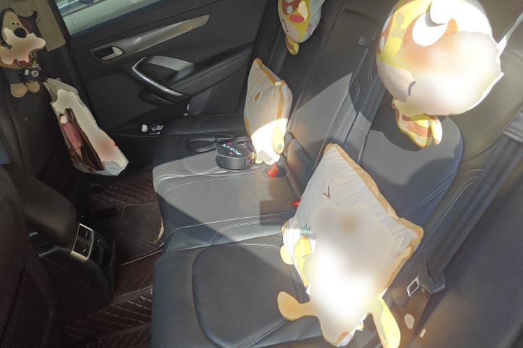 Used DS 6 2016 1.6T Luxury Edition THP160 Left Rear Seat