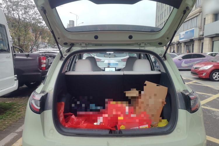 Used Geely Galaxy Geome 2025 310km Youth Edition