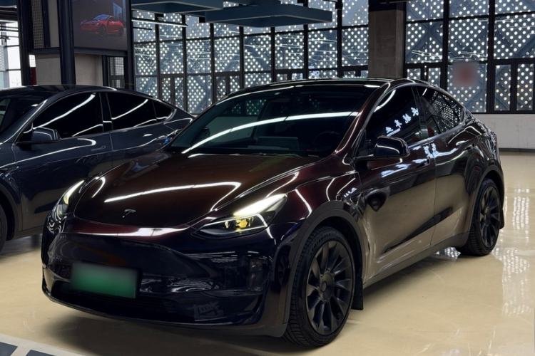 Used Tesla Model Y 2021 Standard Range Rear-Wheel Drive Version