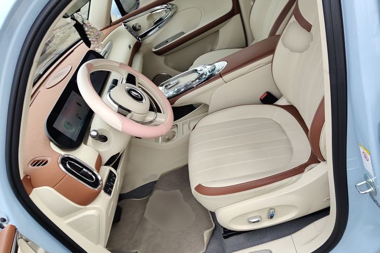 Used ORA Ballet Cat 2023 401 km Luxury Version
