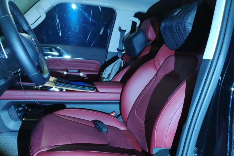 Used Tank 300 2025 2.0T Conqueror
