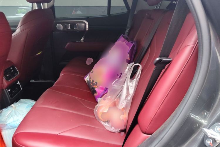 Used Tank 400 New Energy 2024 Hi4-T City Edition