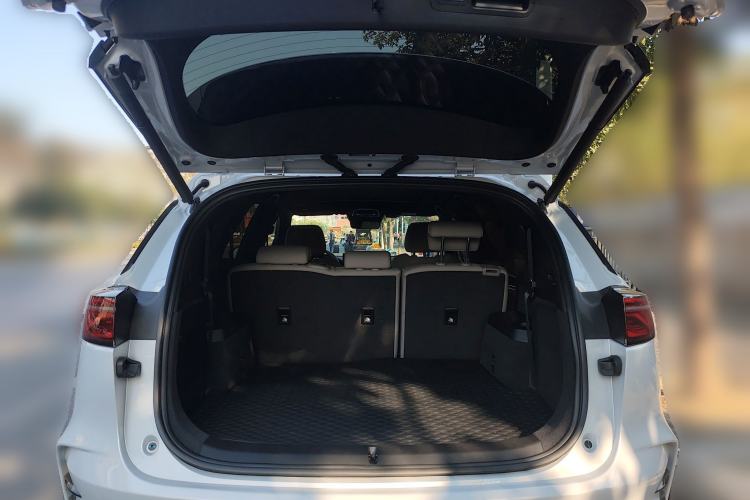 Used BYD Tang New Energy 2025 DM-i 115KM Prestige Model
