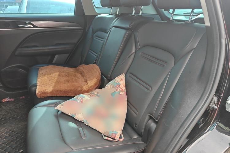 Used GAC Trumpchi GS4 PLUS 2021 390T Automatic Nebula Edition Left Rear Seat