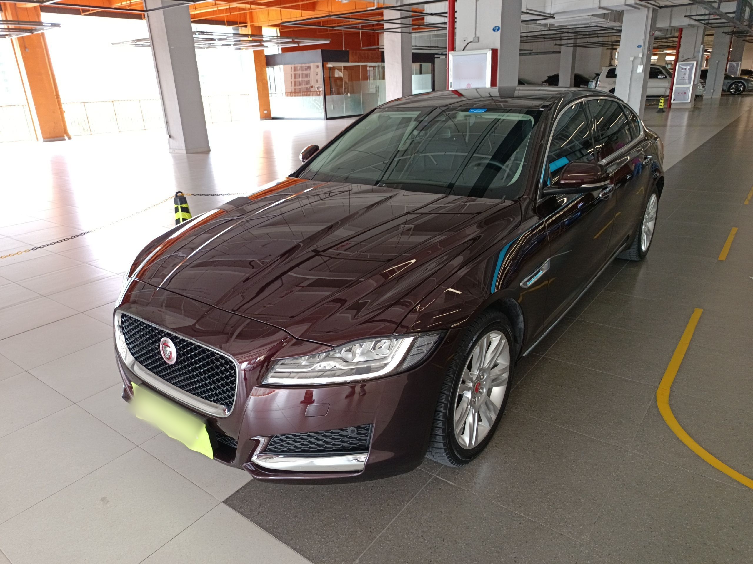 Parte inferior delantera