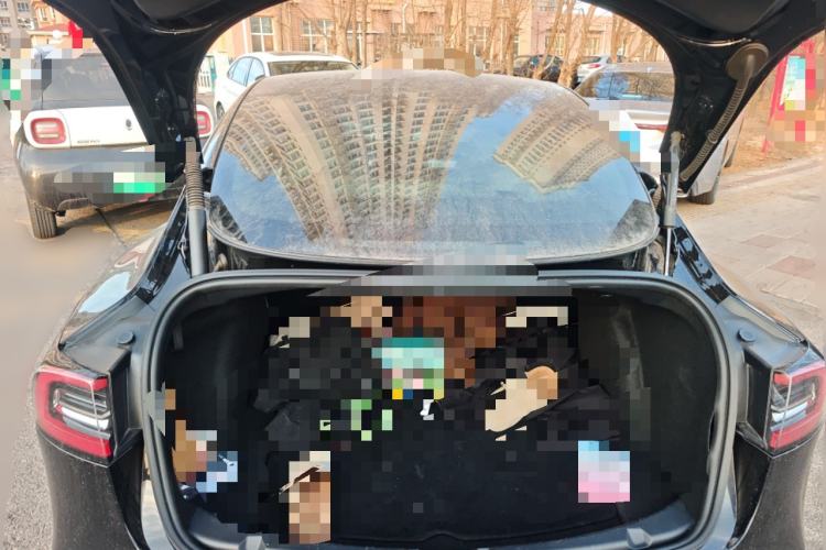 Used Tesla Model 3 2021 Standard Range Rear-Wheel Drive Upgraded Version 3D6 Trunk