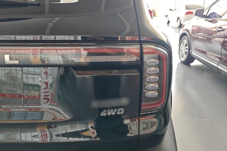 Used Haval DARGO 2024 2.0T DCT Chinese Rural Dog Edition Right Rear Taillight