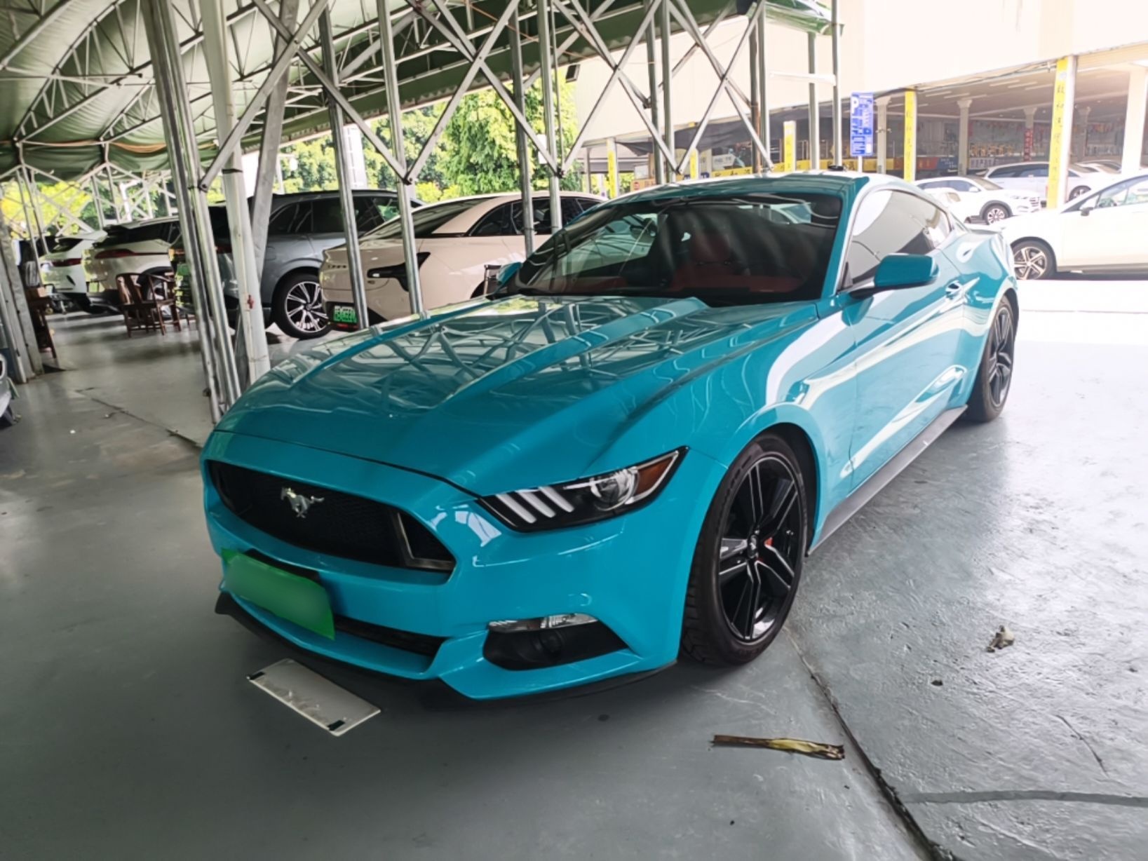 Under Front Bumper