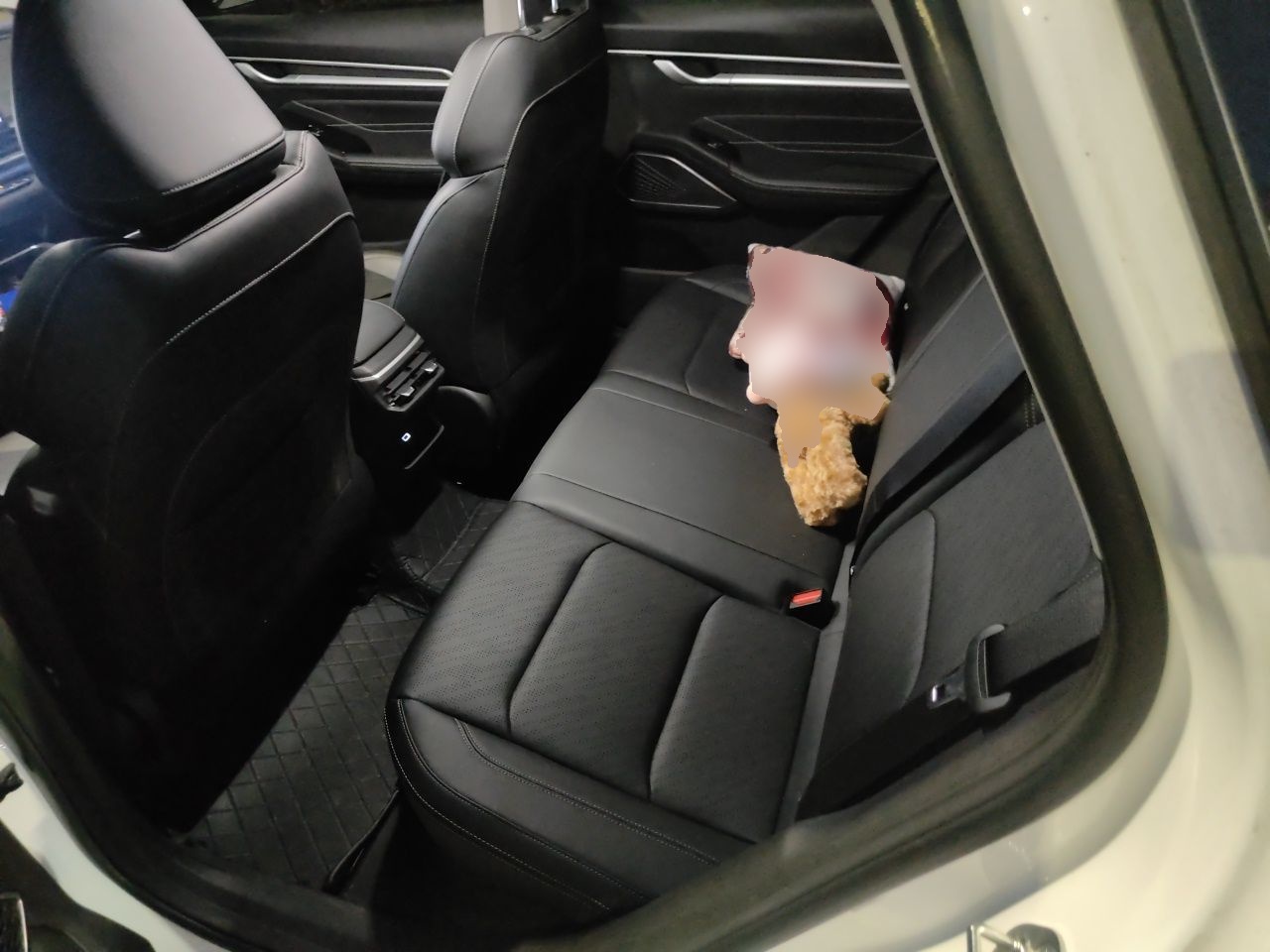 Geely Auto Emgrand 2023 4th Generation Champion Edition 1.5L CVT Prestige Model — снимка 17