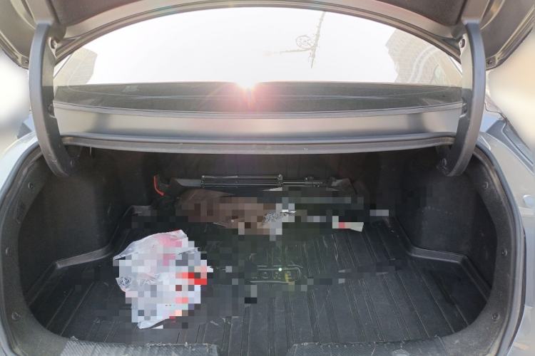 Used CHANGAN Eado DD 2023 Blue Whale NE 1.5T GDI DCT Navigation Model
