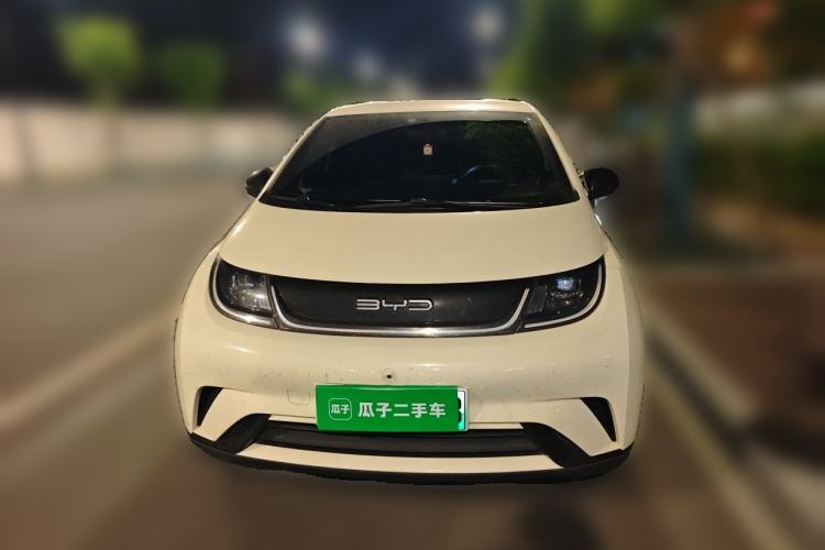 Used BYD Dolphin 2021 405 km Free Version
