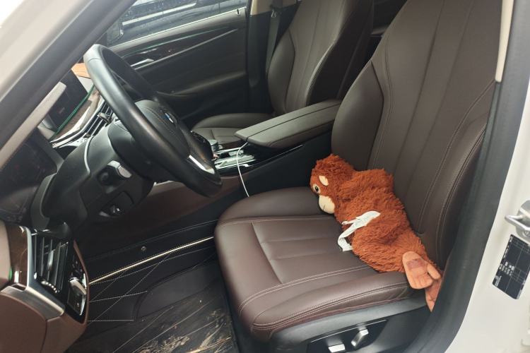 Used BMW 5 Series 2020 525Li Luxury Package