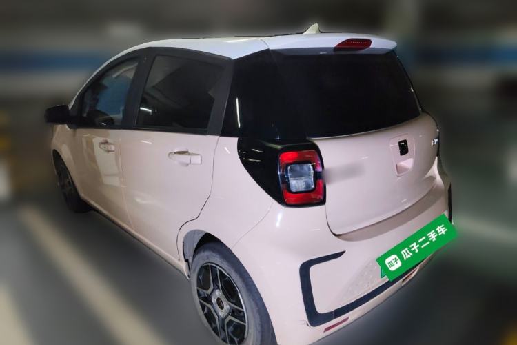 Used SOL E10X 2022 Flower Fairy Design Four-Leaf Clover
