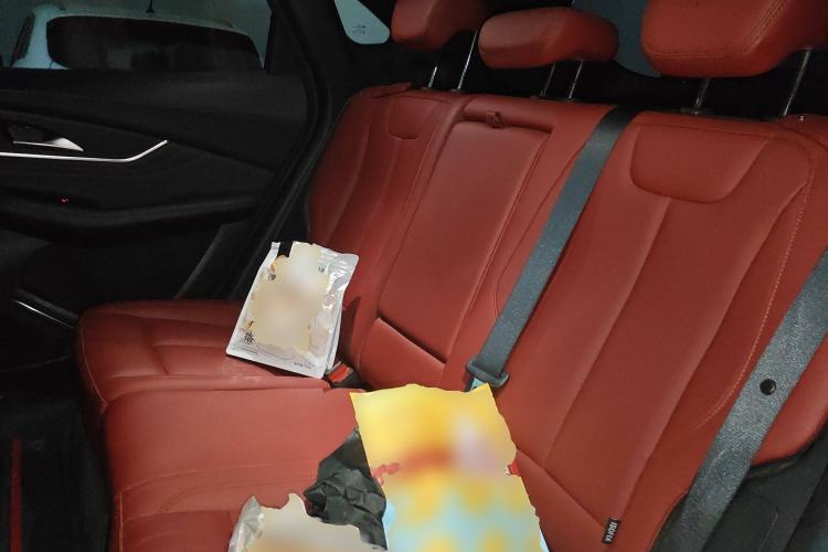 Used FORTHING T5 EVO 2021 1.5TD DCT Starry Edition Left Rear Seat