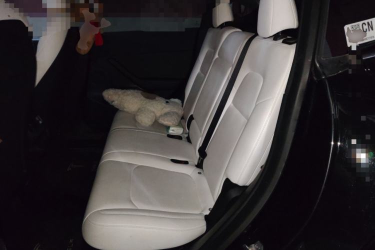 Used Tesla Model Y 2021 Standard Range Rear-Wheel Drive Version